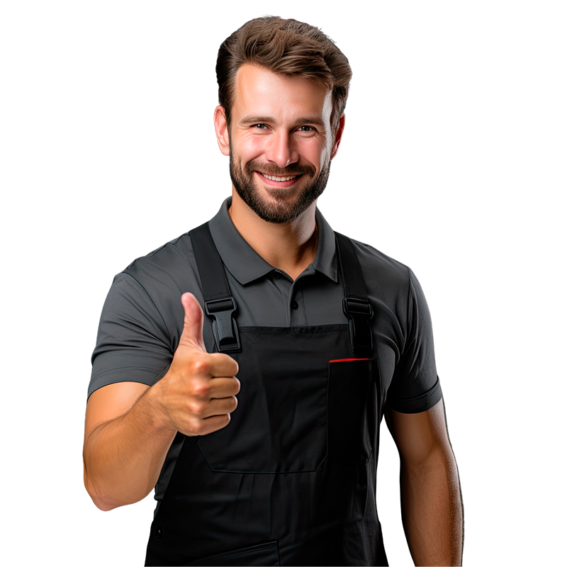 Autopartes Eléctricas